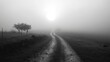 © nanskyblack - A quiet, foggy morning in the countryside with a dirt road leading into the distance