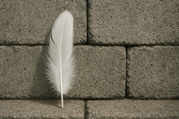 Poster - Soft White Feather on Textured Gray Concrete Block Surface