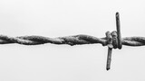 Rusty barbed wire fence close-up, outdoor, bleak background, security concept