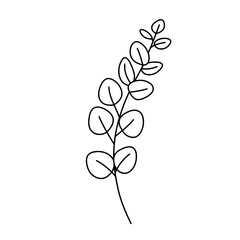 Poster - Eucalyptus Branch Minimalist Drawing: A minimalist pen drawing of an eucalyptus branch with round leaves showcases the organic beauty of botanical form.