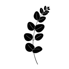 Poster - Eucalyptus Branch Silhouette