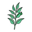 © IsratJahan - Illustration of green leaf branch vector, botanical drawing, nature design element, plant art, foliage, herb