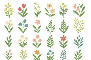Poster - Floral patterns featuring various flowers and leaves on a white background showcasing vibrant colors and intricate designs