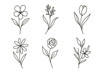 Poster - Line art collection of various flower designs ideal for coloring or decoration in home and art projects