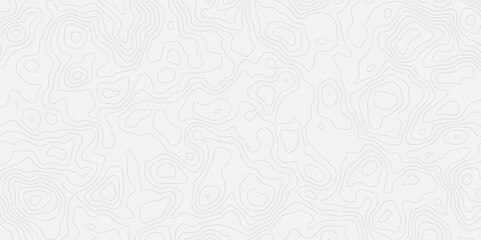 Poster - Topographic white and bright light grey stylized line essential for effectively communicating the focus and scope of a map or survey. A well-crafted provides clarity on the geographic area.