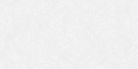 Poster - Topographic white and bright light grey stylized line essential for effectively communicating the focus and scope of a map or survey. A well-crafted provides clarity on the geographic area.