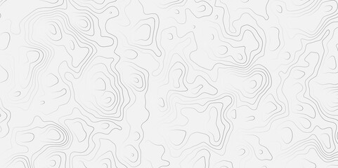 Poster - Topographic white and bright light grey stylized line essential for effectively communicating the focus and scope of a map or survey. A well-crafted provides clarity on the geographic area.