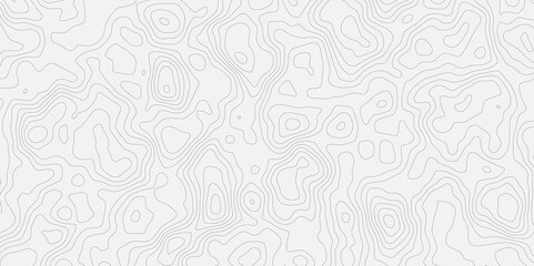 Poster - Topographic white and bright light grey stylized line essential for effectively communicating the focus and scope of a map or survey. A well-crafted provides clarity on the geographic area.