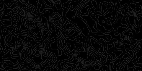 Poster - Abstract topography circle with contour map waves paper topo line black and white , the purpose of the map, and the key features represented, such as elevation, landforms, or specific terrain.