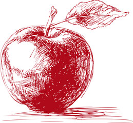 Poster - Red sketch drawing of an apple with a leaf, digital artwork. Vector illustration