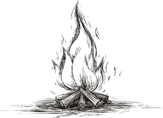 Poster - Monochrome sketch of a campfire with logs in detailed line style art. Vector illustration