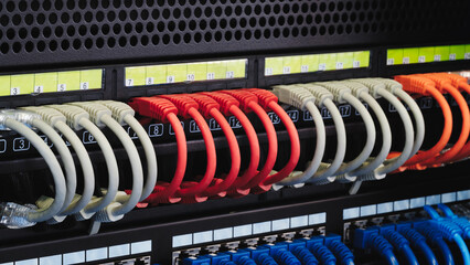 Poster - A row of cables with different colors and numbers. The cables are connected to a black box. Internet and communications concept background.