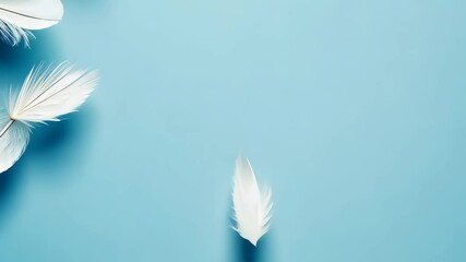 Poster - Graceful descent: white feathers drift elegantly against soft blue backdrop