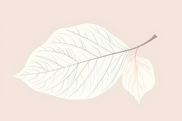 vector illustration of a leaf