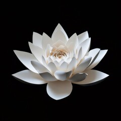 Aufkleber - 黒背景に分離された白い蓮の花のクローズアップ 自然光と影による繊細な質感の詳細