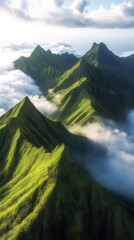 Aufkleber - 緑豊かな山々と雲海のパノラマビュー 鮮やかな緑色とコントラストのある自然風景 朝日の光が差し込む山の尾根