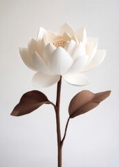 Aufkleber - 白い蓮の花のクローズアップ 茶色の茎と葉 白い背景にシンプルなフローラルアート
