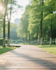 Poster - 木製通路の緑の木々 太陽光が差し込む美しい夏の風景