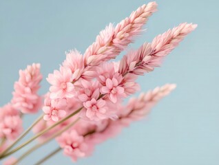 Aufkleber - 青色の背景にピンクの花束が咲き誇るマクロ撮影 柔らかい質感でロマンチックな自然の美しさ