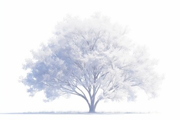 frosty winter tree, serene, isolated on white