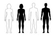 © Buch&Bee - Man and woman human body silhouette, patient front view outline figure. . Isolated vector monochrome contour of male and female person shapes, standing full height. Bare and naked slim healthy people