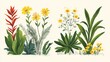 illustrated comparison of ancient and modern plants digital
