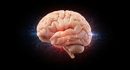 Brain Circuit Fusion AI