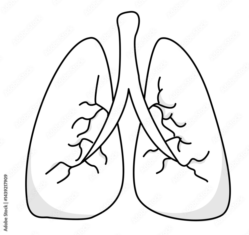 Understanding visual data 2