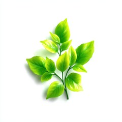 Poster - Bright Green Leaves on a Branch, Isolated on White Background: Fresh and Vibrant Foliage