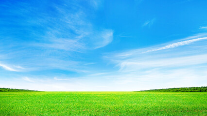 Wall Mural - summer landscape with a vast green field under a majestic sky