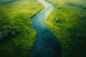 Poster - Serene aerial view of a winding river cutting through lush green meadows.