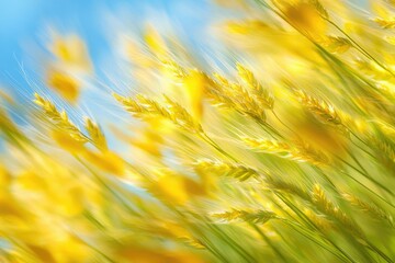 Leinwandbilder - Golden wheat swaying gently in a summer breeze under a bright blue sky.