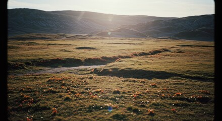 Poster - A field of grass with a sun shining on it