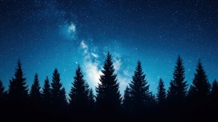 Wall Mural - Majestic pine forest silhouetted under a starry night sky