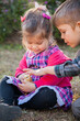 © Austockphoto - Brother and sister patting a baby chicken