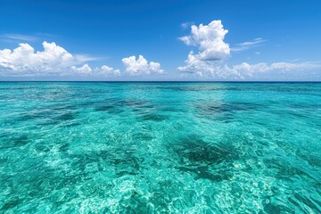 Aufkleber - Crystal clear turquoise water meeting blue sky on horizon: tropical paradise seascape