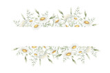Wildflowers chamomile, yarrow and meadow grasses. Hand drawn isolated watercolor rectangular frame of yellow and white field rustic flowers with copy space for invitations, postcards, certificates.