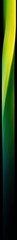 Poster - Green yellow gradient light effect, dark background, abstract design, website banner