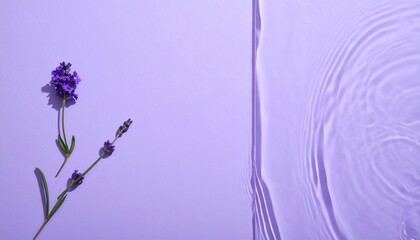 Poster - Serene lavender bloom with water ripples nature photography calm environment close-up view tranquility