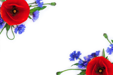 Wall Mural - flowers red poppies ( corn poppy, corn rose, field poppy ), blue flowers cornflower on a white backg