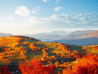 Aufkleber - Breathtaking view of the colorful slopes of distant hills illuminated by the sun's rays. Carpathian mountains, Ukraine, Europe.
