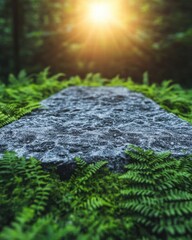 Poster - A solid rock in the woods surrounded by lush greenery and natural elements of the forest floor