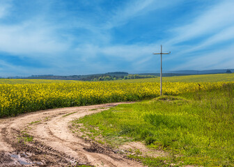 Wall Mural - spring rapeseed yellow blooming fields and religious cross near the pass