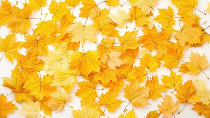 Aufkleber - A golden carpet of fallen maple leaves covers the forest floor, soft sunlight filtering through the trees. Peaceful and nostalgic atmosphere