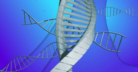 Poster - DNA double helix structures twisting and floating in 3D render, with smooth blue purple gradient