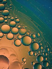 Poster - Oil and water interface creating abstract organic waves under magnification Ma