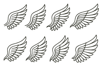 Poster - Collection of detailed wing illustrations showcasing various styles and angles for artistic design projects