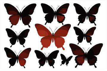 Poster - Patterns of butterflies showcasing artistic designs with contrasting colors on a white background