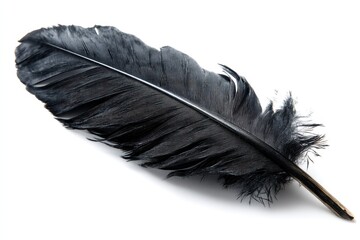 Poster - Elegant black feather resting on a pristine white surface casting a subtle shadow showcasing intricate details and texture for creative projects and artistic expression