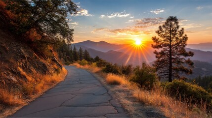 Wall Mural - Scenic mountain road at sunset with sun rays shining through the trees in a peaceful landscape